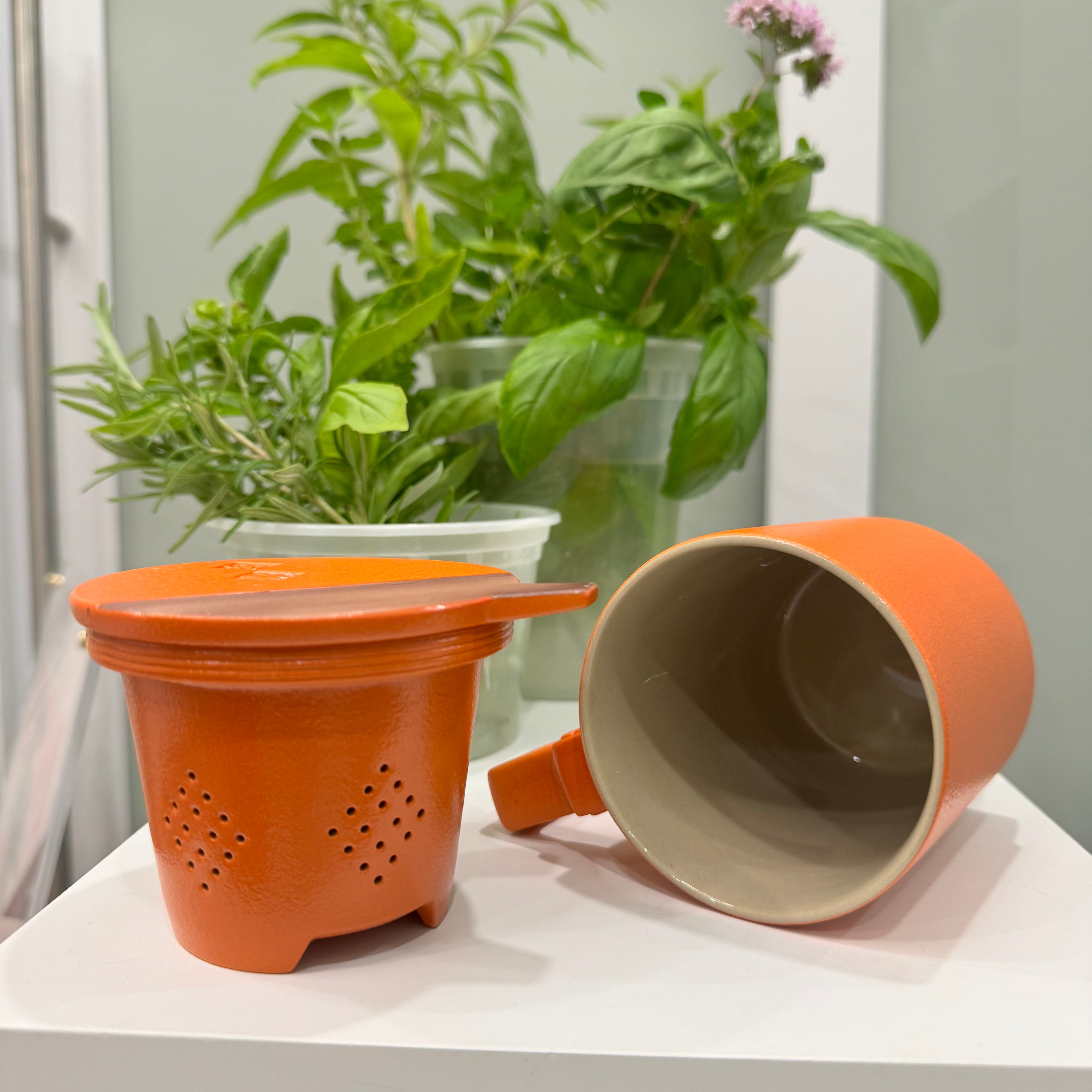 The Original Inspiration