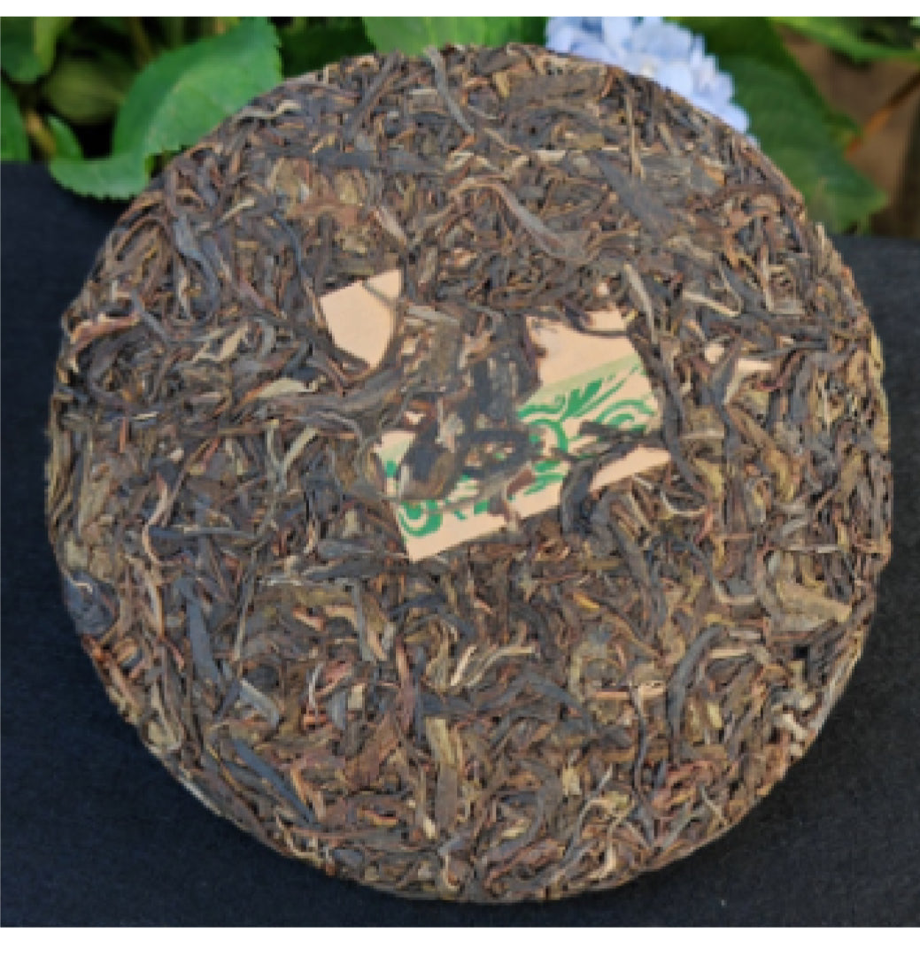 Pu-erh Ancient Tree
