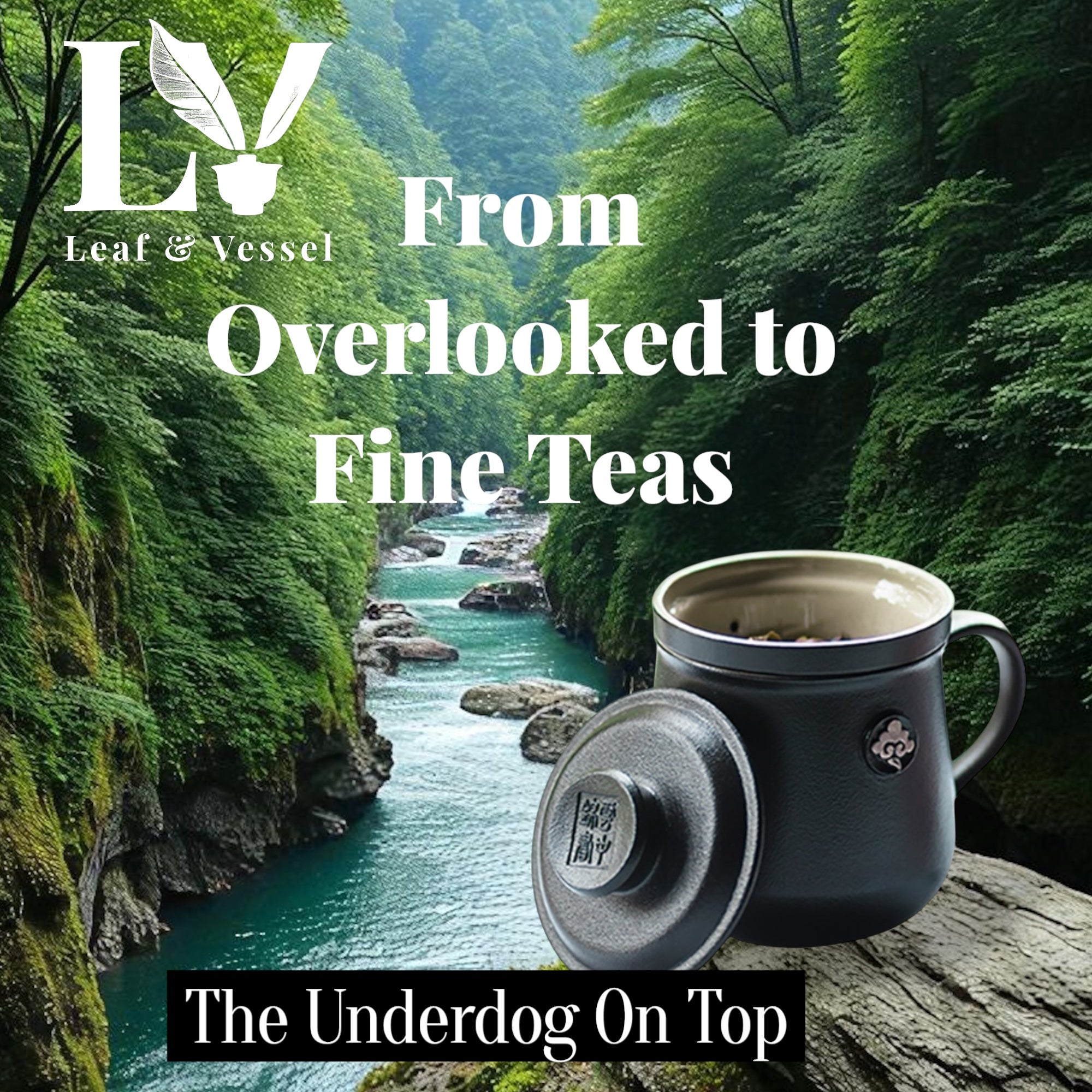 The Underdog On Top 3 Piece Set