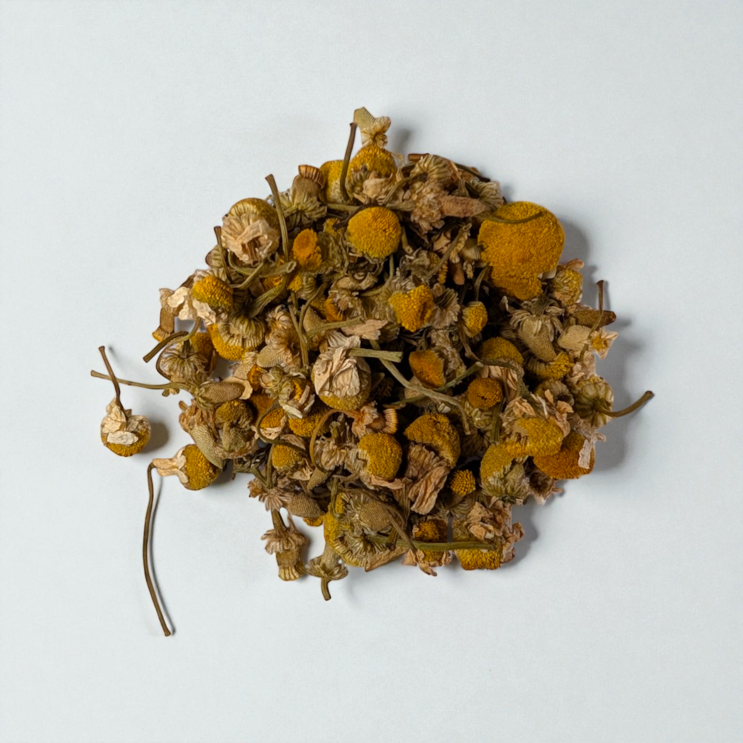 Egyptian Chamomile